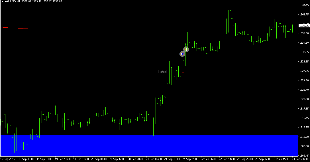 Fundamental Analysis