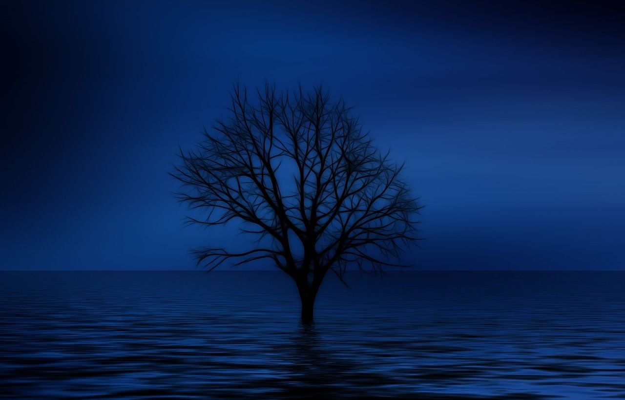 Forex Trading Psychology Article
